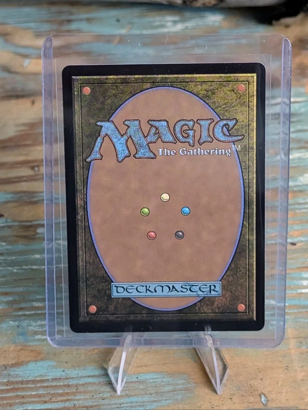 Magic The Gathering Bloomburrow 5 Card Bundle